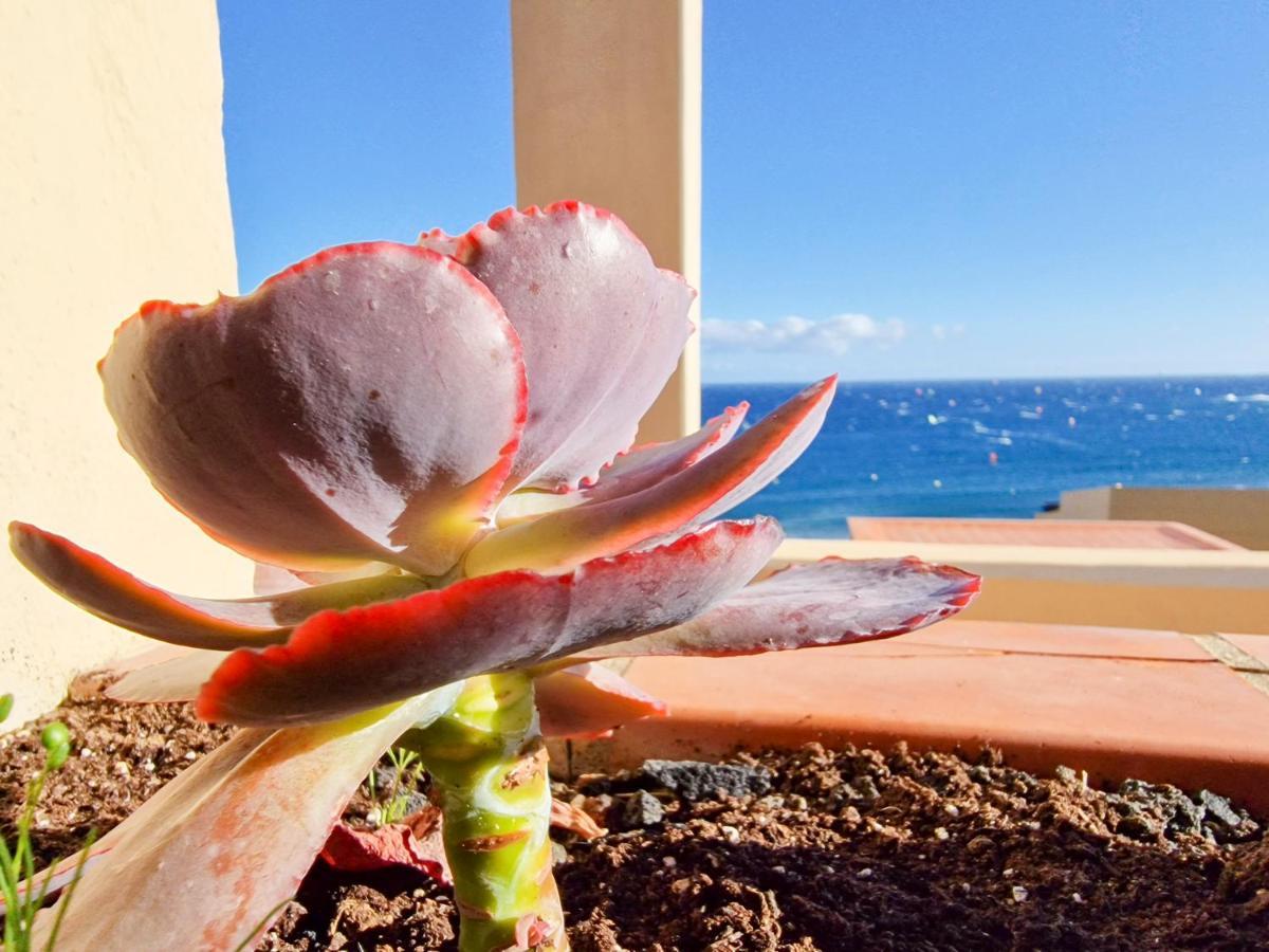 Medano4You The Ocean Terrace Penthouse El Médano Zewnętrze zdjęcie